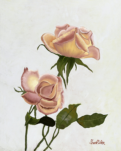 Wow! Pink and Cream Roses!